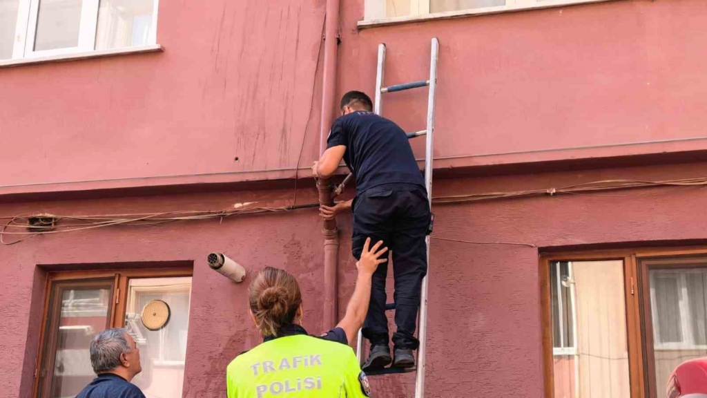 Yağmur suyu giderine sıkışan kediyi itfaiye kurtardı