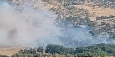 Diyarbakır’da ağaçlık alanda yangın