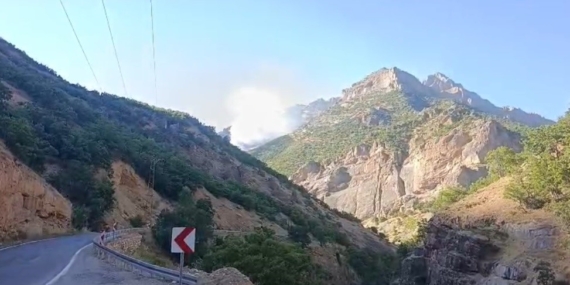 Munzur Vadisi Milli Parkı’nda örtü altı yangınına müdahale sürüyor