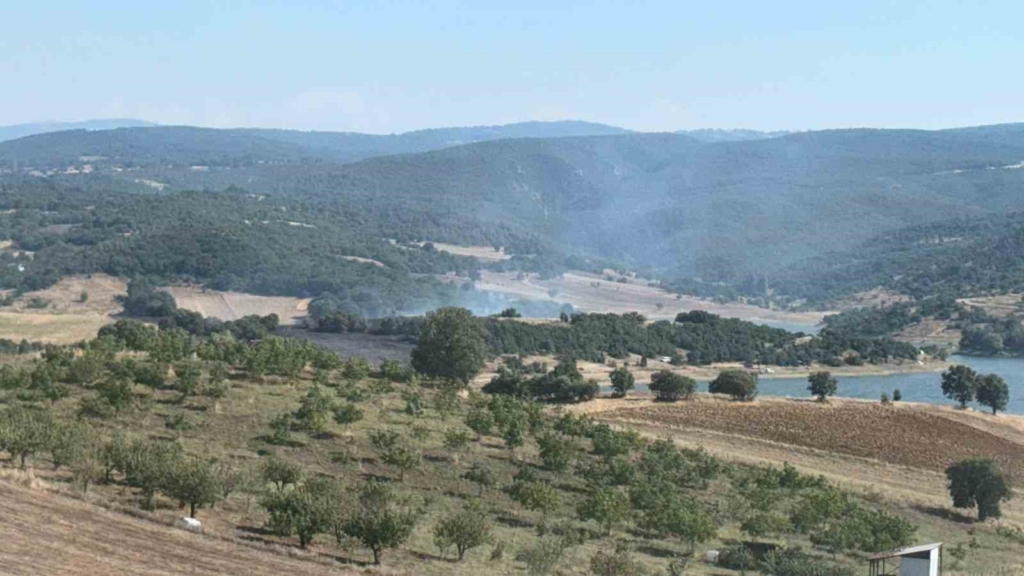 Bilecik’te ormanlık alandaki yangın kontrol altına alındı