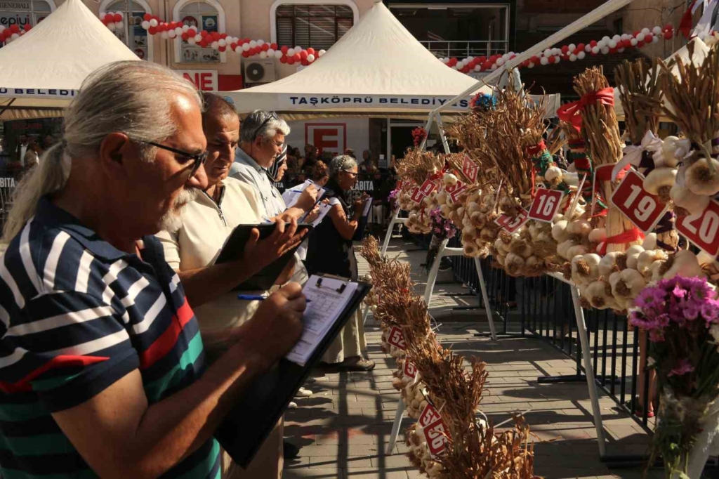 Dünyaca ünlü Taşköprü sarımsağı festivalde yarıştı: 80 demet arasından en iyi sarımsak seçildi