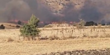 Seyitgazi’de tarım arazisinde yangın çıktı