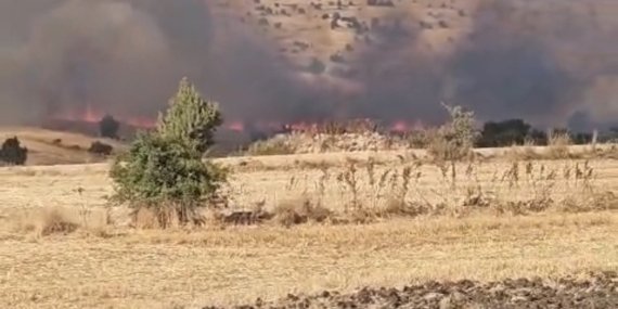 Seyitgazi’de tarım arazisinde yangın çıktı