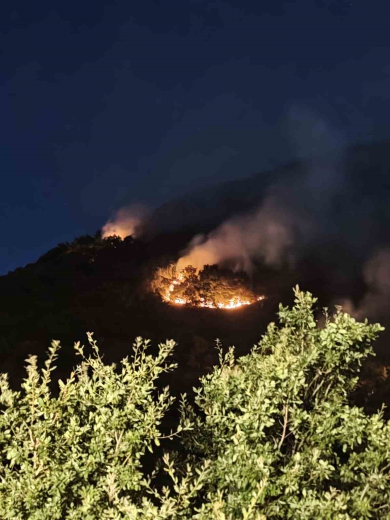 Kırsalda başlayan yangın ormana sıçradı