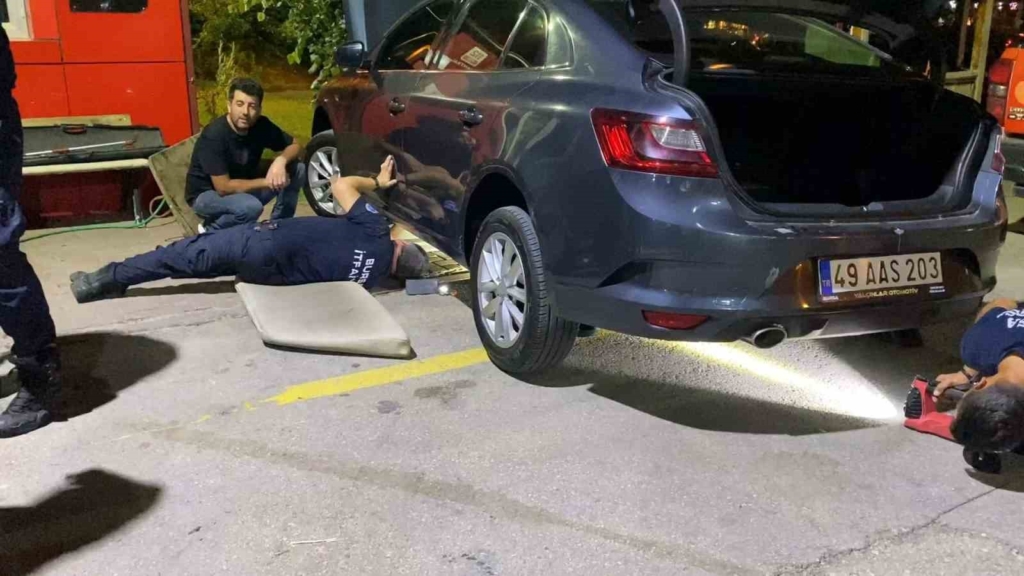 Aracının motorunda yılanı gören sürücü soluğu itfaiyede aldı