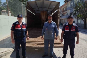 Eskişehir’de çalınan büyükbaş hayvanlardan biri Bilecik’te bulundu