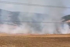 Bursa’da tarlalık alanı ateşe veren şüpheli yakalandı