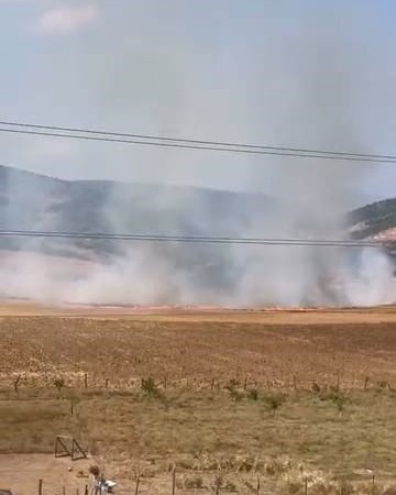 Bursa’da tarlalık alanı ateşe veren 16 yaşındaki şüpheli yakalandı