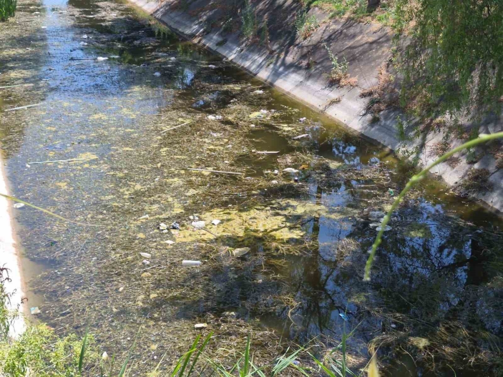 Porsuk Çayı’ndaki çöp kirliliği dikkat çekti