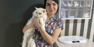 Evcil hayvanlarınızı evde tek bırakırken dikkat