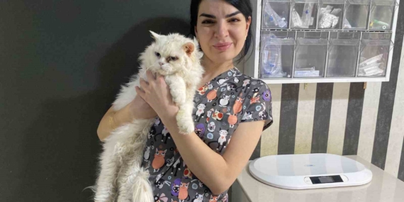 Evcil hayvanlarınızı evde tek bırakırken dikkat
