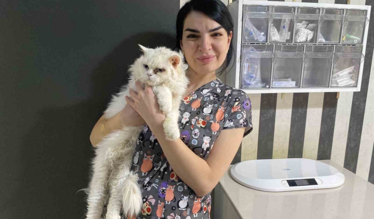 Veterinerden tatilde evde bırakılacak kedi ve köpekler için uyarı
