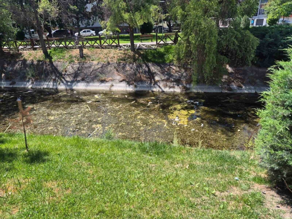 Porsuk Çayı’ndaki çöp kirliliği dikkat çekti