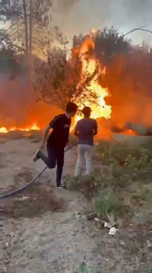Birecik’te korkutan yangın