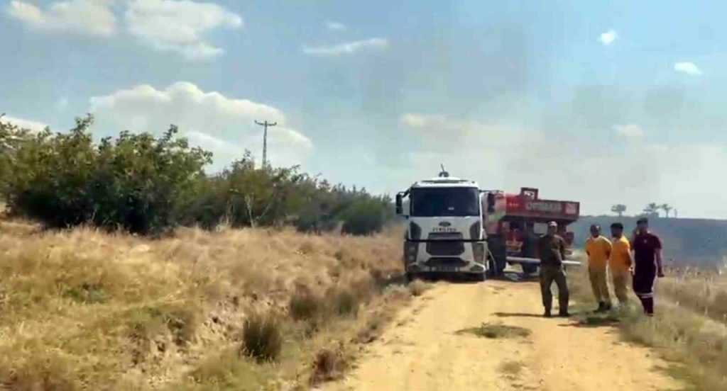 Meriç’te korkutan yangın: Yerleşim yerlerine sıçramadan yangın söndürüldü