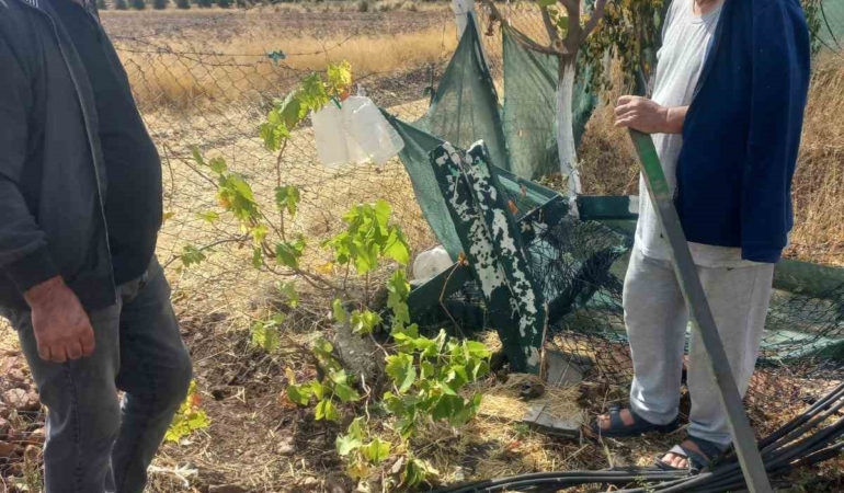 Eskişehir’de bahçe tellerine kimliği belirsiz kişiler zarar verdi