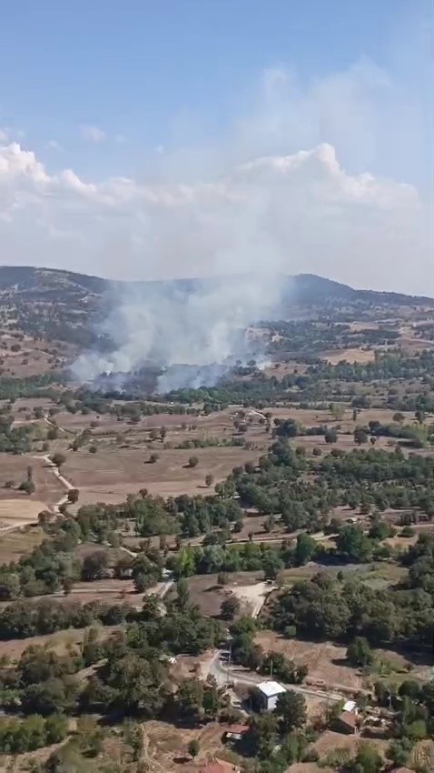 Bursa’da orman yangını...Tarım alanında başladı ormana sıçradı