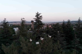Göç yolculuğuna mola veren leylekler dron ile görüntülendi