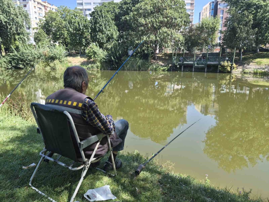 Yaşlı adam betonlaşmadan kaçıp su kenarına sığınıyor