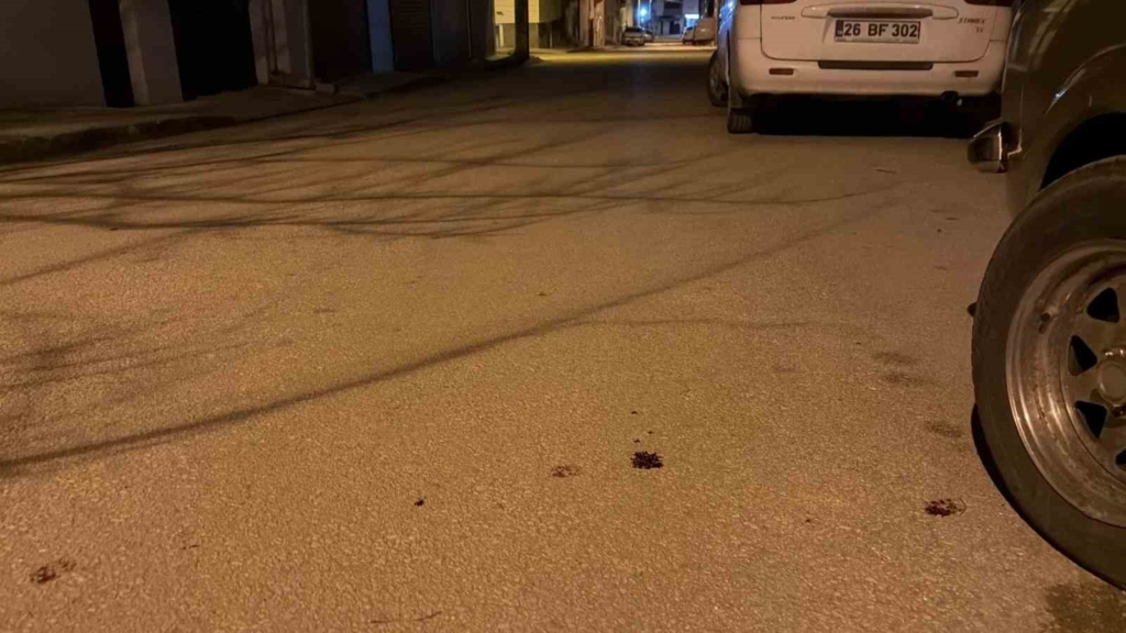 Eskişehir’de ’kız’ meselesi yüzünden 17 yaşındaki gencin bıçaklandığı olayın davası