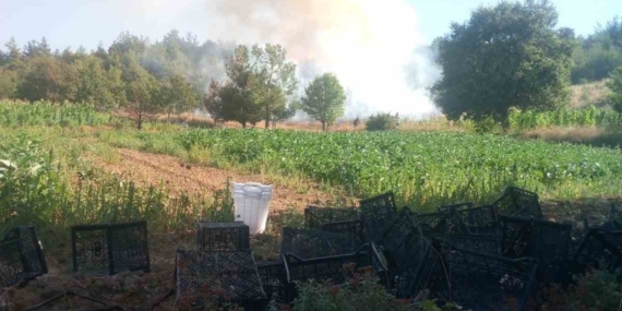 Bursa Kestel’deki orman yangınına havadan ve karadan müdahale