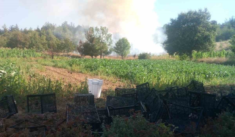 Bursa Kestel’deki orman yangınına havadan ve karadan müdahale