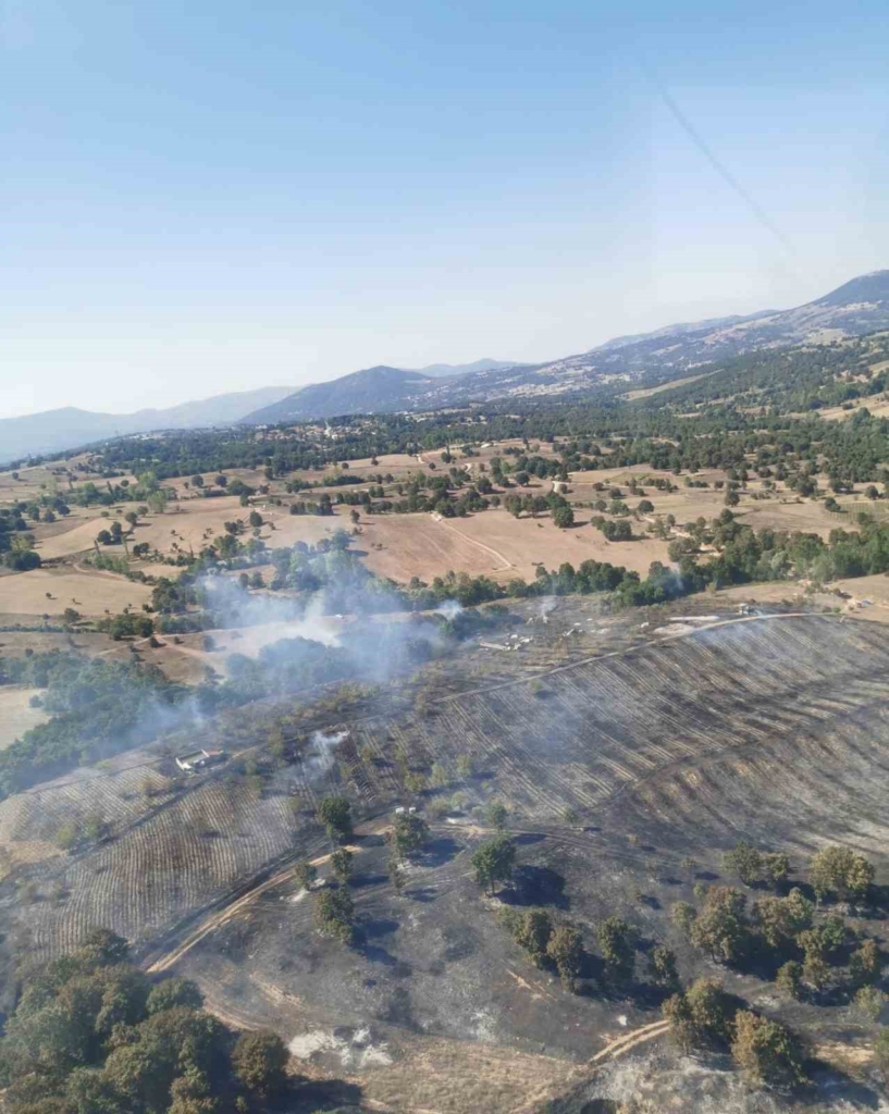 Bursa’da orman yangını...Tarım alanında başladı ormana sıçradı