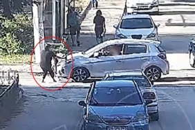 Minik Mavi’nin hayatını kaybettiği kazanın görüntüleri ortaya çıktı