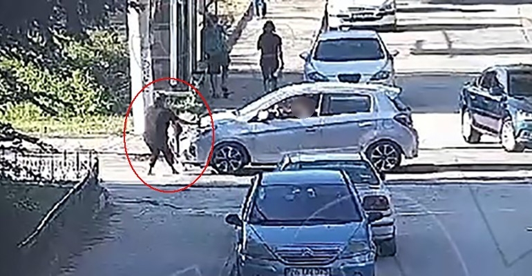 Minik Mavi’nin hayatını kaybettiği kazanın görüntüleri ortaya çıktı