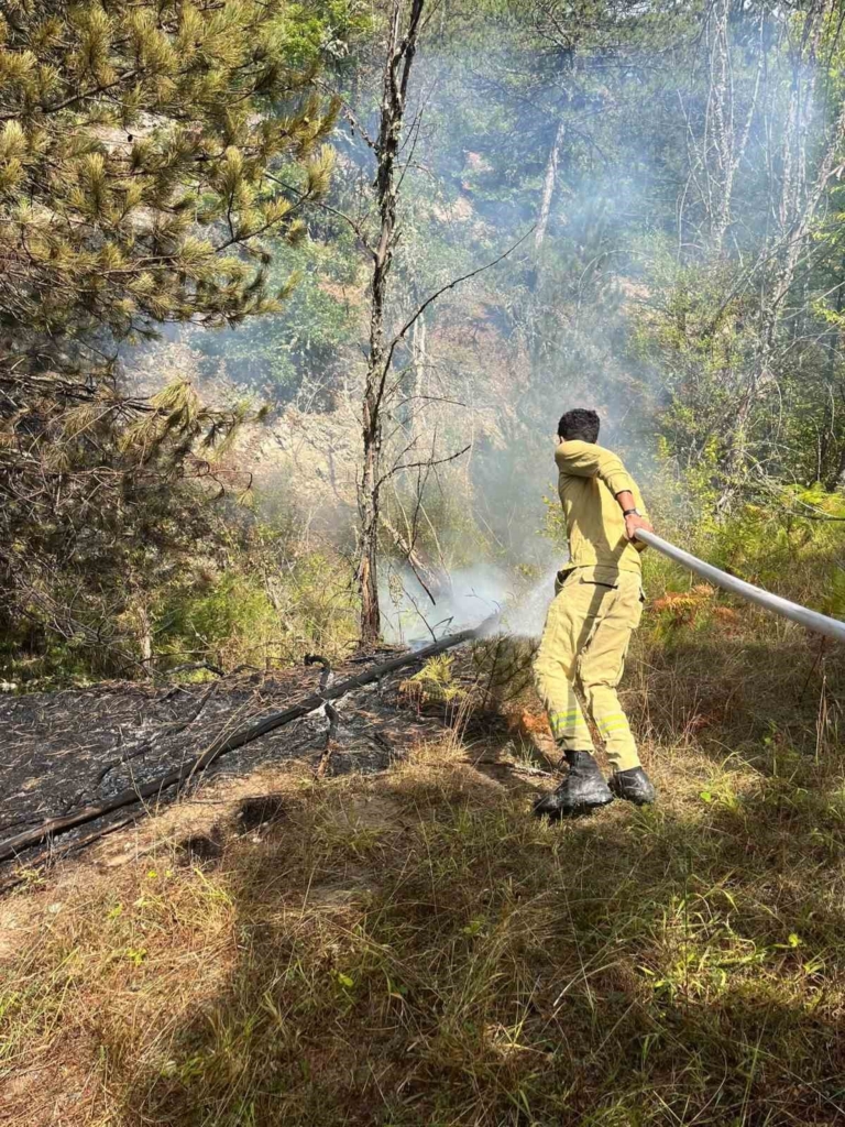 Bilecik’te başlayan orman yangını kontrol altına alındı