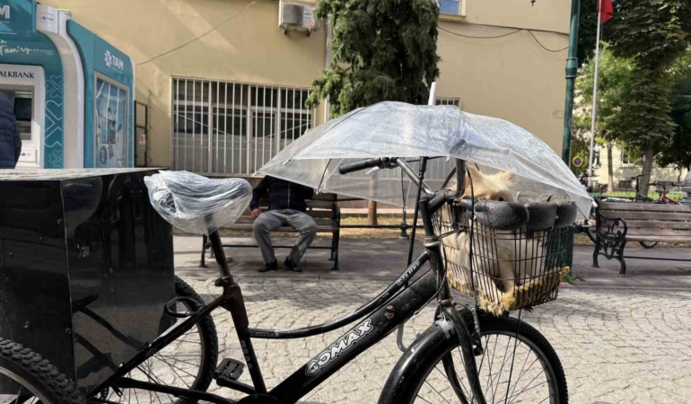 Eskişehir’de bisiklet sepetindeki köpeğine şemsiyeli koruma