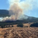 Mihalıççık’ta orman yangınına müdahale sürüyor