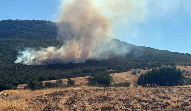 Mihalıççık’taki orman yangınına hava ve karadan müdahale