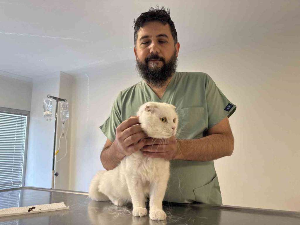 Veteriner hekimden evcil hayvan sahiplerine yabancı cisim uyarısı
