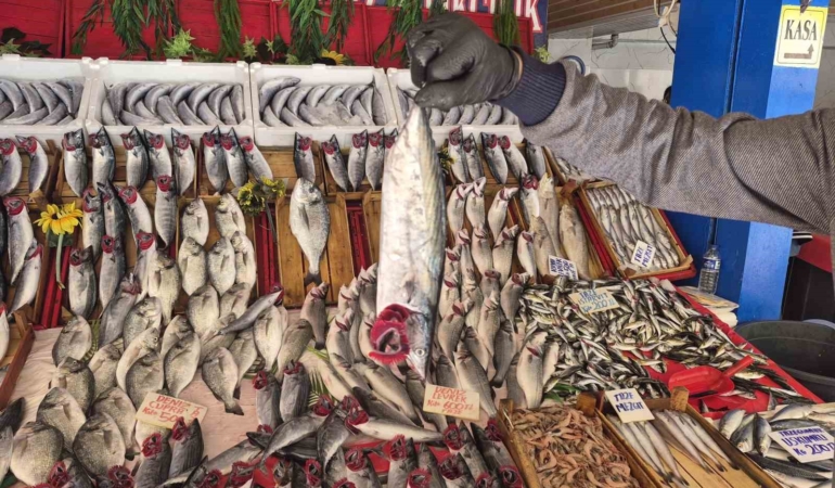 Palamut bu sezon hamsiyi geride bıraktı