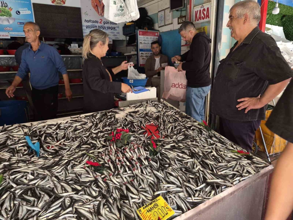 Palamut bu sezon hamsiyi geride bıraktı