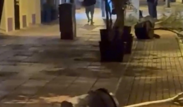Eskişehir’de gece saksıları deviren kişi kamerada