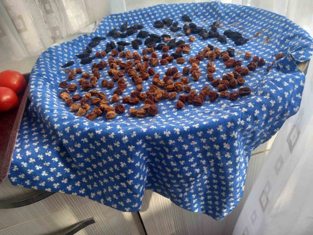 Ailesinin kışlık yiyeceklerinin neredeyse tamamını kendisi üretiyor
