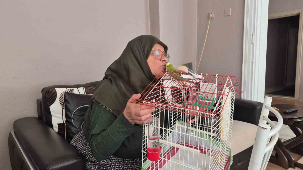 Ölmek üzereyken sahiplendiği muhabbet kuşu hayat arkadaşı oldu