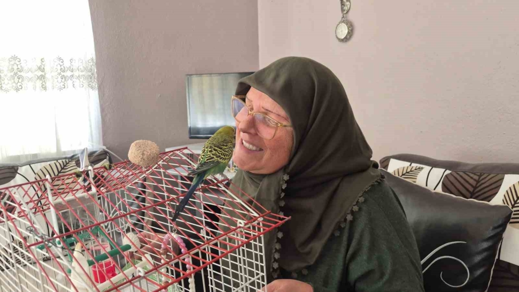 Ölmek üzereyken sahiplendiği muhabbet kuşu hayat arkadaşı oldu