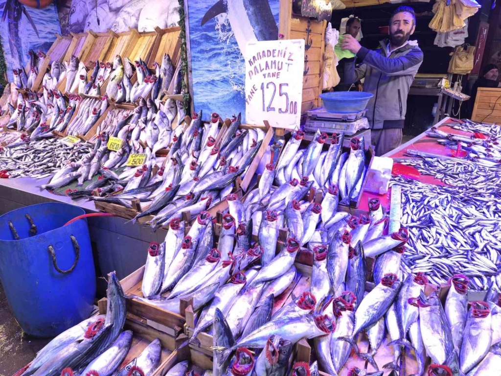 Balıkçıları hayrete düşüren bolluk