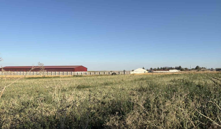 Odunpazarı’nda bulunan mühimmat kontrollü imha edilecek