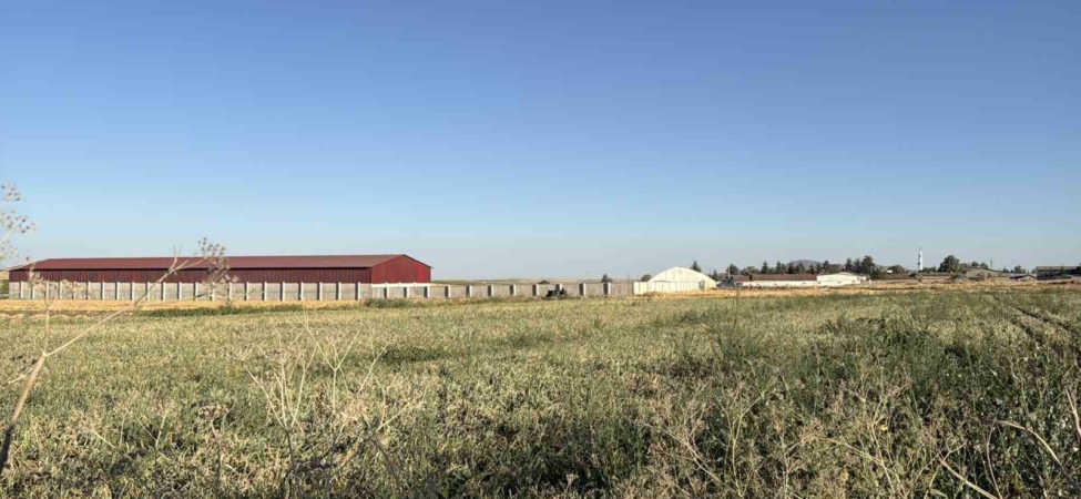 Odunpazarı’nda tarım arazisinde mühimmat bulundu: Kontrollü şekilde imha edilecek