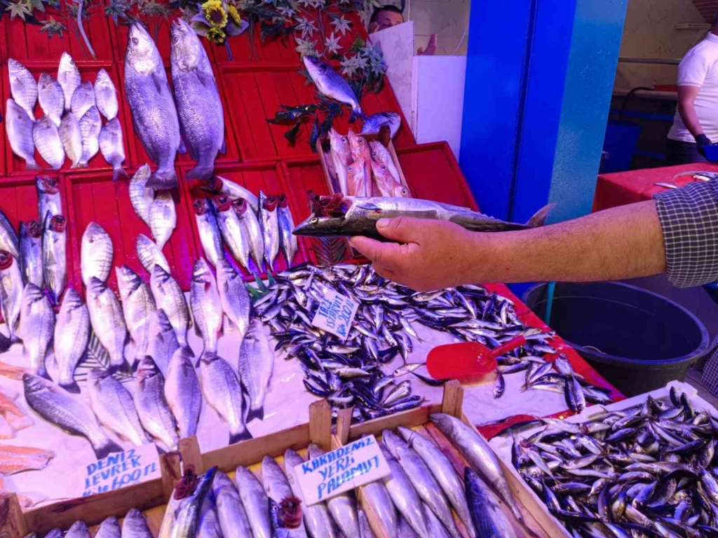 Eskişehir’de balık sezonu ucuzlukla başladı