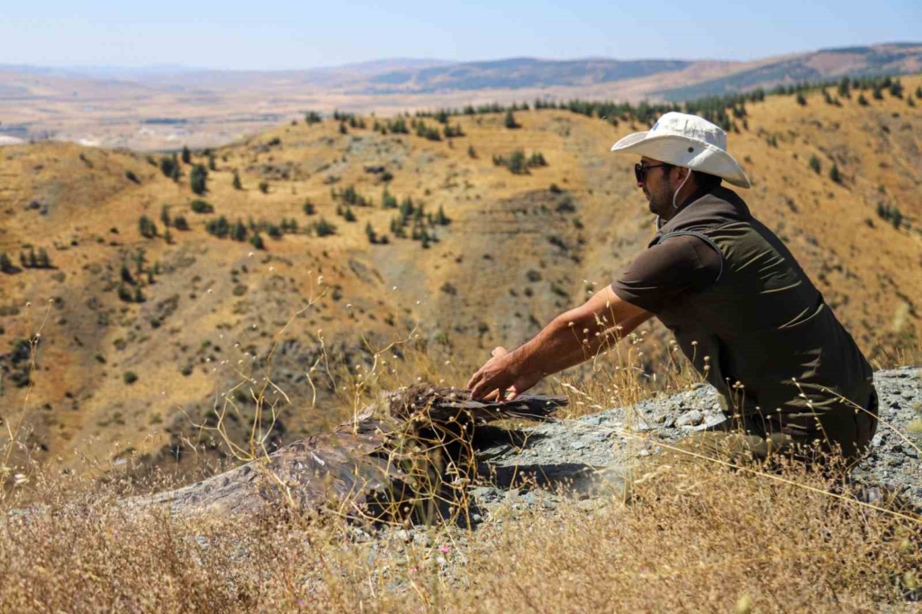 Kara akbabanın yaşam alanları uyduyla izlenecek