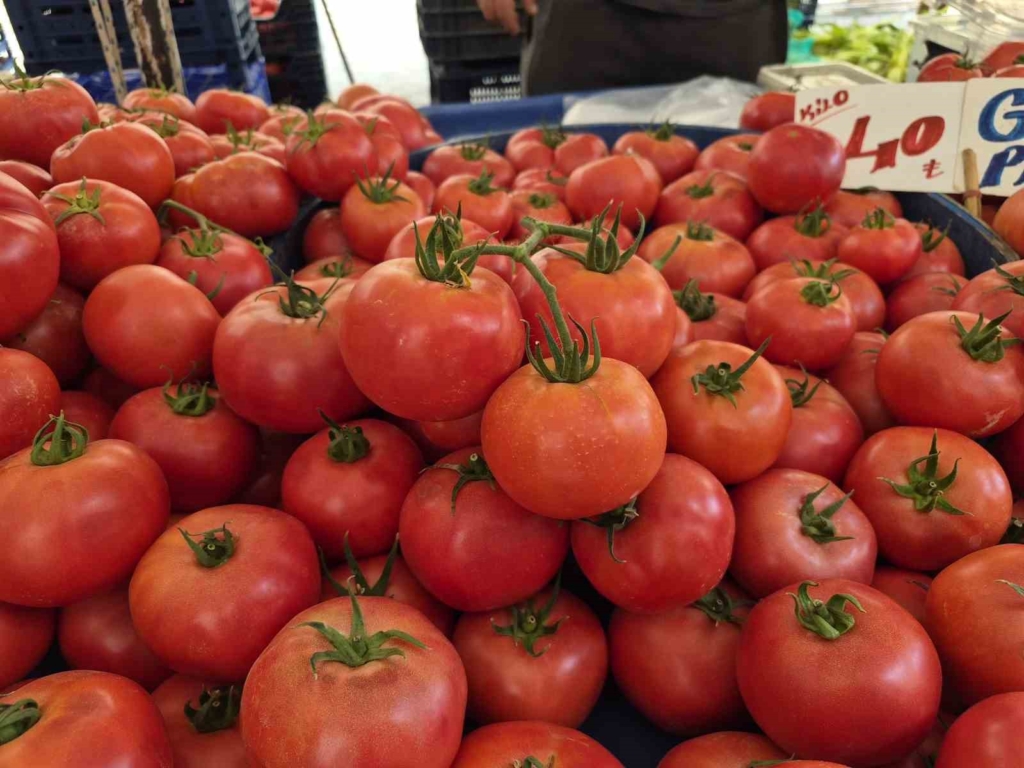 Her domates kışlık sos yapmaya uygun değil