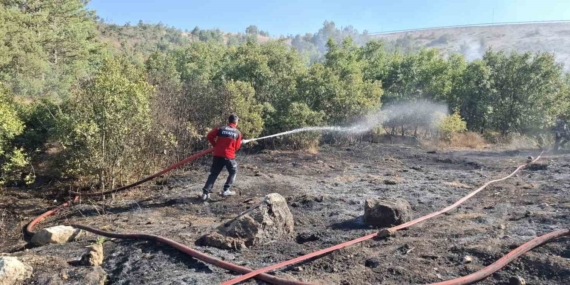 Emet’teki orman yangını ekiplerin müdahalesiyle söndürüldü
