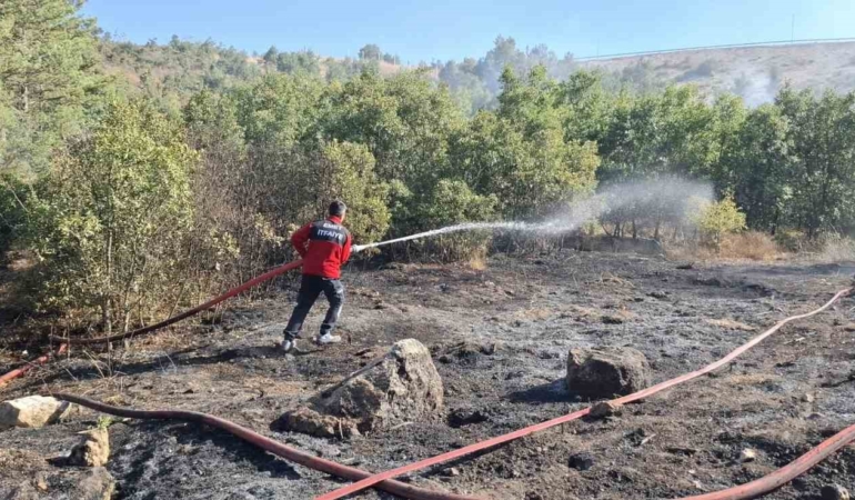 Emet’teki orman yangını ekiplerin müdahalesiyle söndürüldü