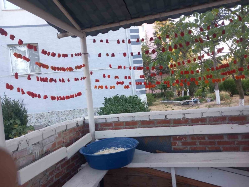 Ailesinin kışlık yiyeceklerinin neredeyse tamamını kendisi üretiyor