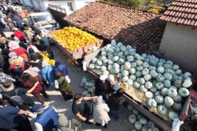 90b3a438-febb-414f-bf47-b1ad536b772a